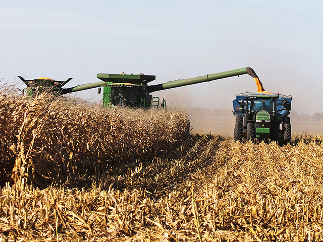 Nearly 30% of the U.S. corn grown in 2013 was planted at a rate ranging between 33,000 and 36,000 seeds per acre. (Progressive Farmer photo by Dave Tonge)